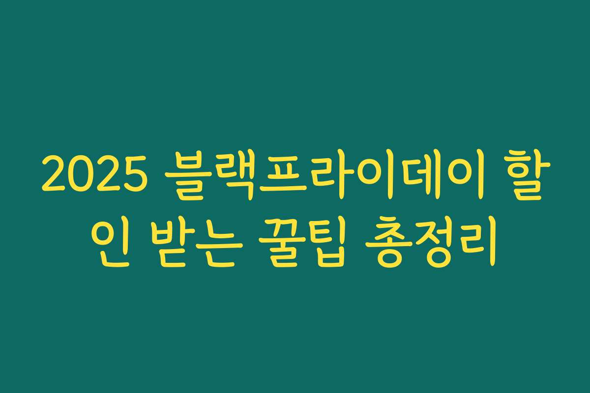 2025 블랙프라이데이 할인 받는 꿀팁 총정리 2025 블랙프라이데이 할인 받는 꿀팁 총정리