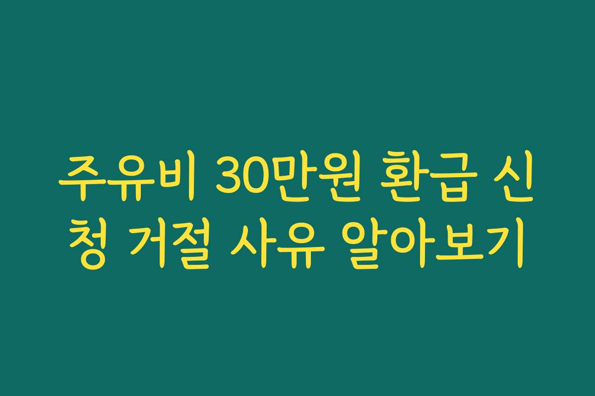 주유비 30만원 환급 신청 거절 사유 알아보기