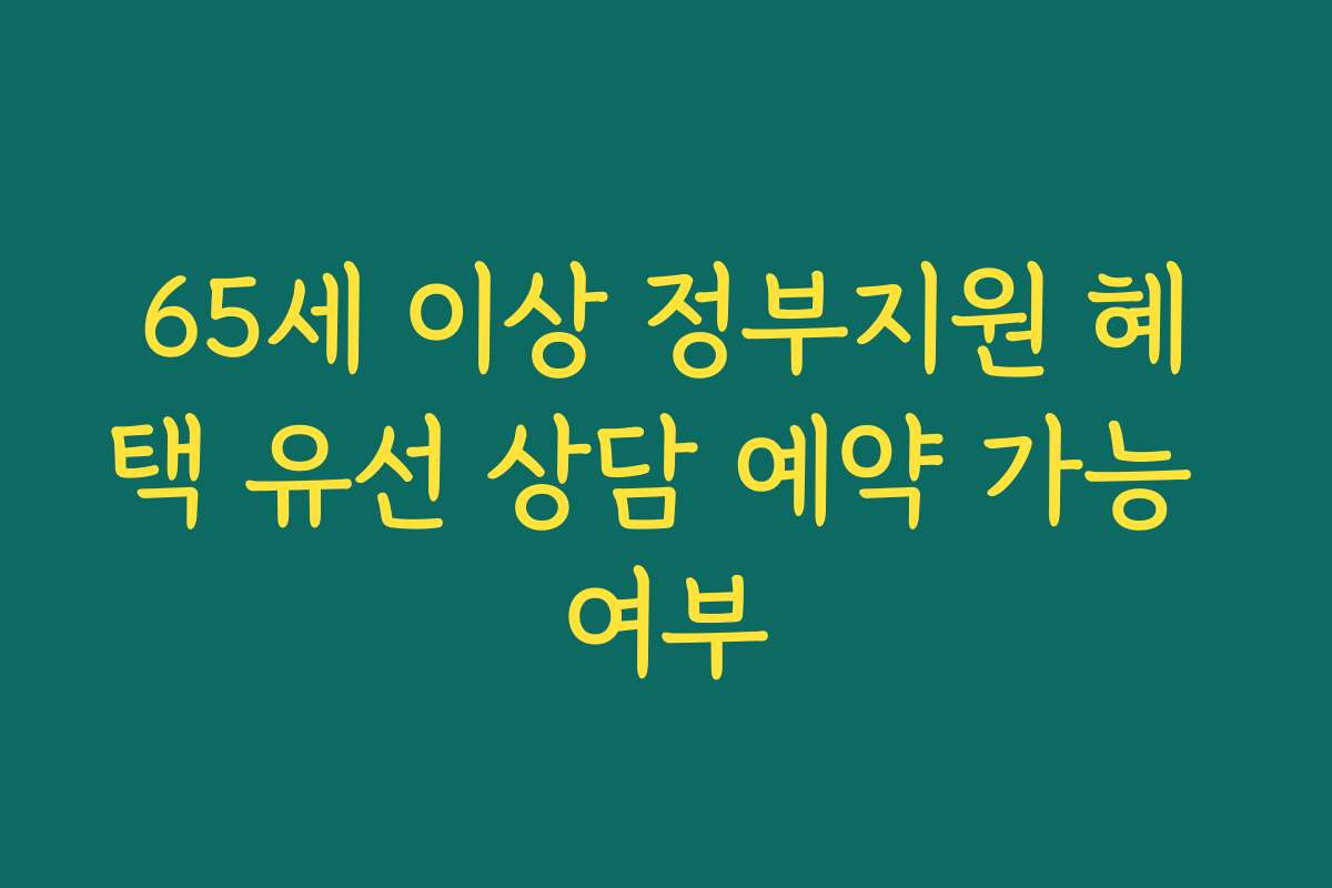 65세 이상 정부지원 혜택 유선 상담 예약 가능 여부