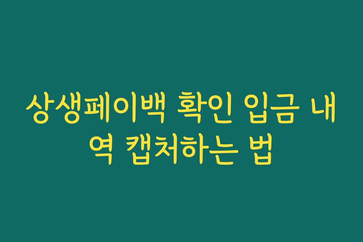 상생페이백 확인 입금 내역 캡처하는 법