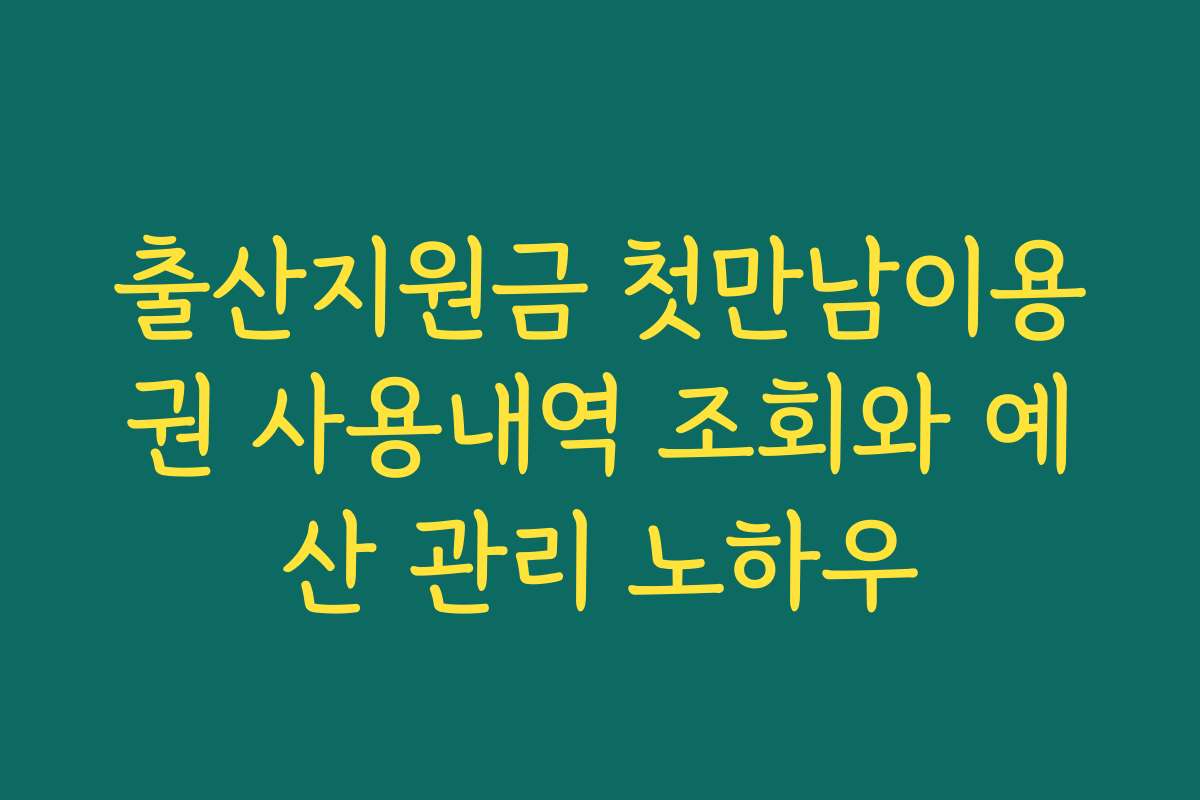 출산지원금 첫만남이용권 사용내역 조회와 예산 관리 노하우