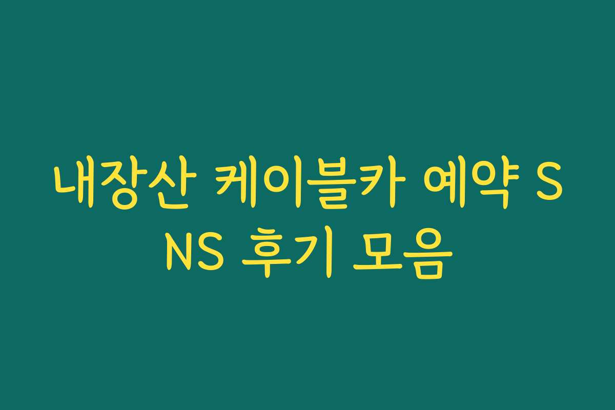 내장산 케이블카 예약 SNS 후기 모음