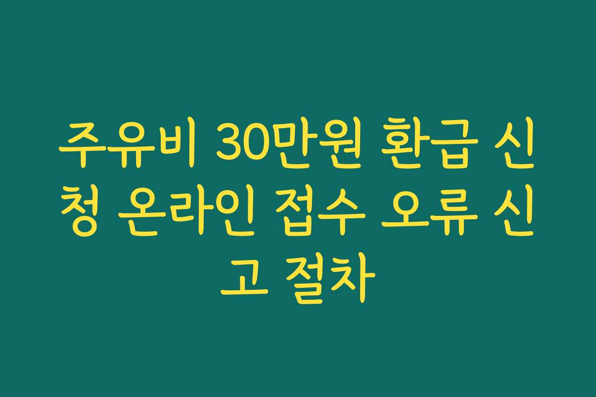 주유비 30만원 환급 신청 온라인 접수 오류 신고 절차
