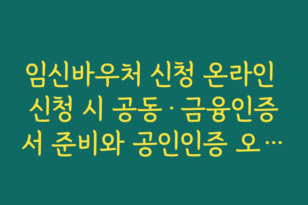 임신바우처 신청 온라인 신청 시 공동·금융인증서 준비와 공인인증 오류 해결 팁