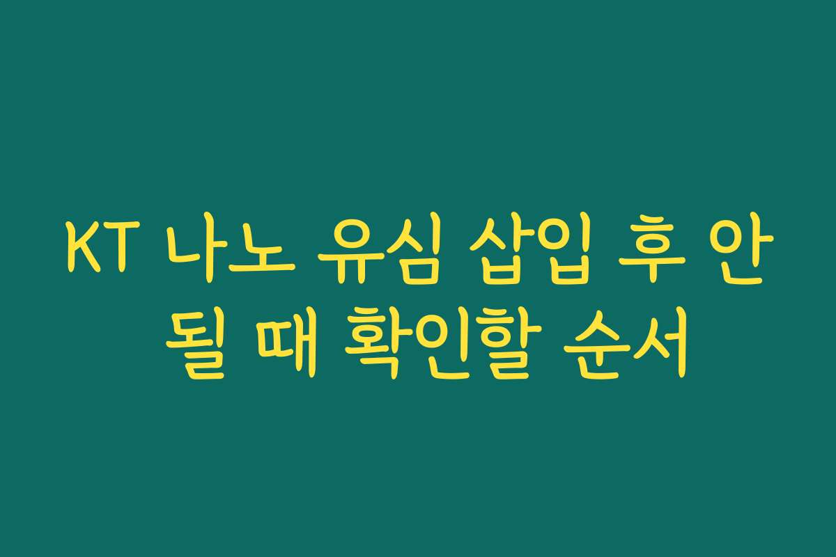 KT 나노 유심 삽입 후 안 될 때 확인할 순서