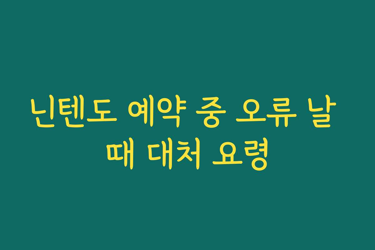 닌텐도 예약 중 오류 날 때 대처 요령