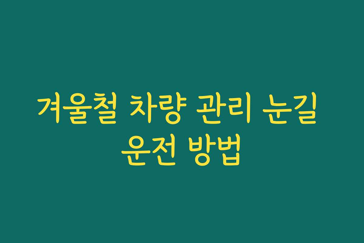 겨울철 차량 관리 눈길 운전 방법