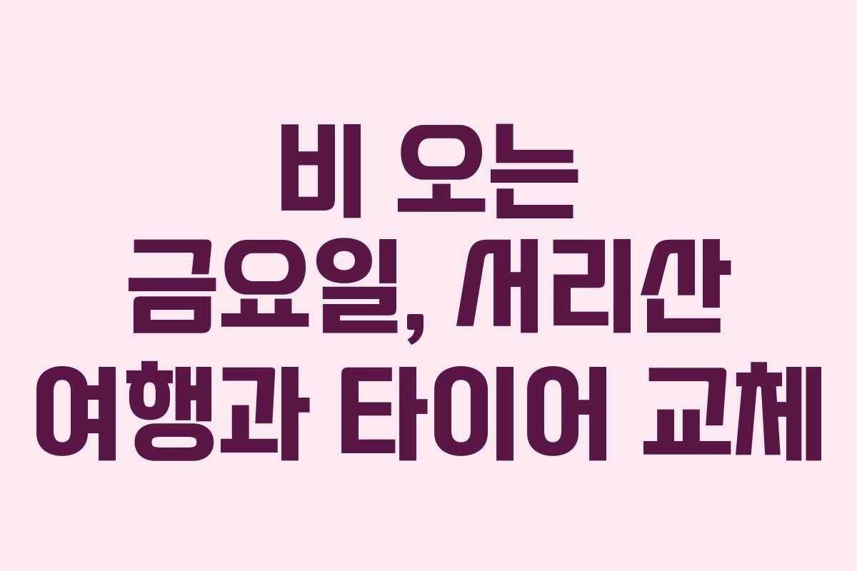 비 오는 금요일, 서리산 여행과 타이어 교체