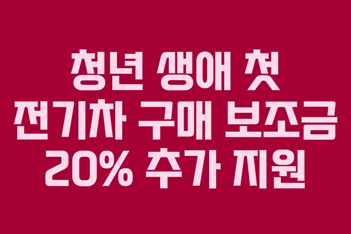 청년 생애 첫 전기차 구매 보조금 20% 추가 지원