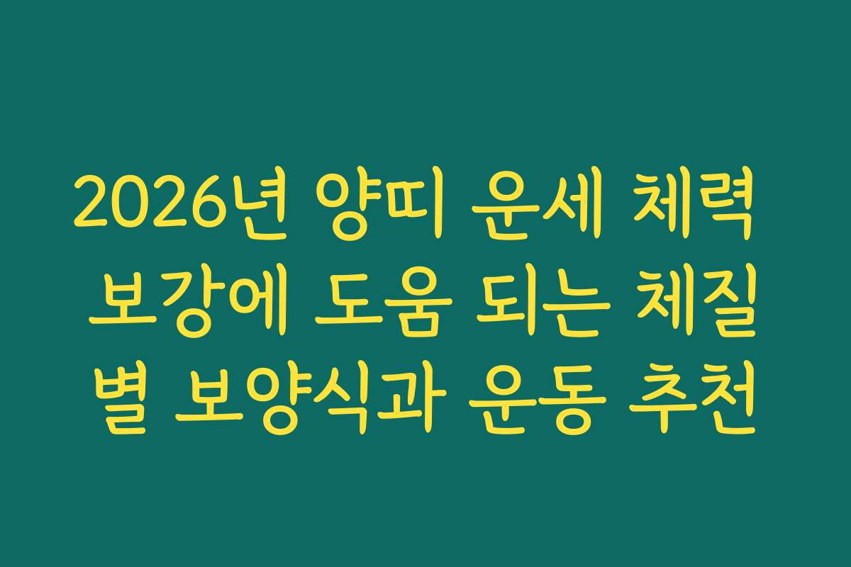 2026년 양띠 운세 체력 보강에 도움 되는 체질별 보양식과 운동 추천
