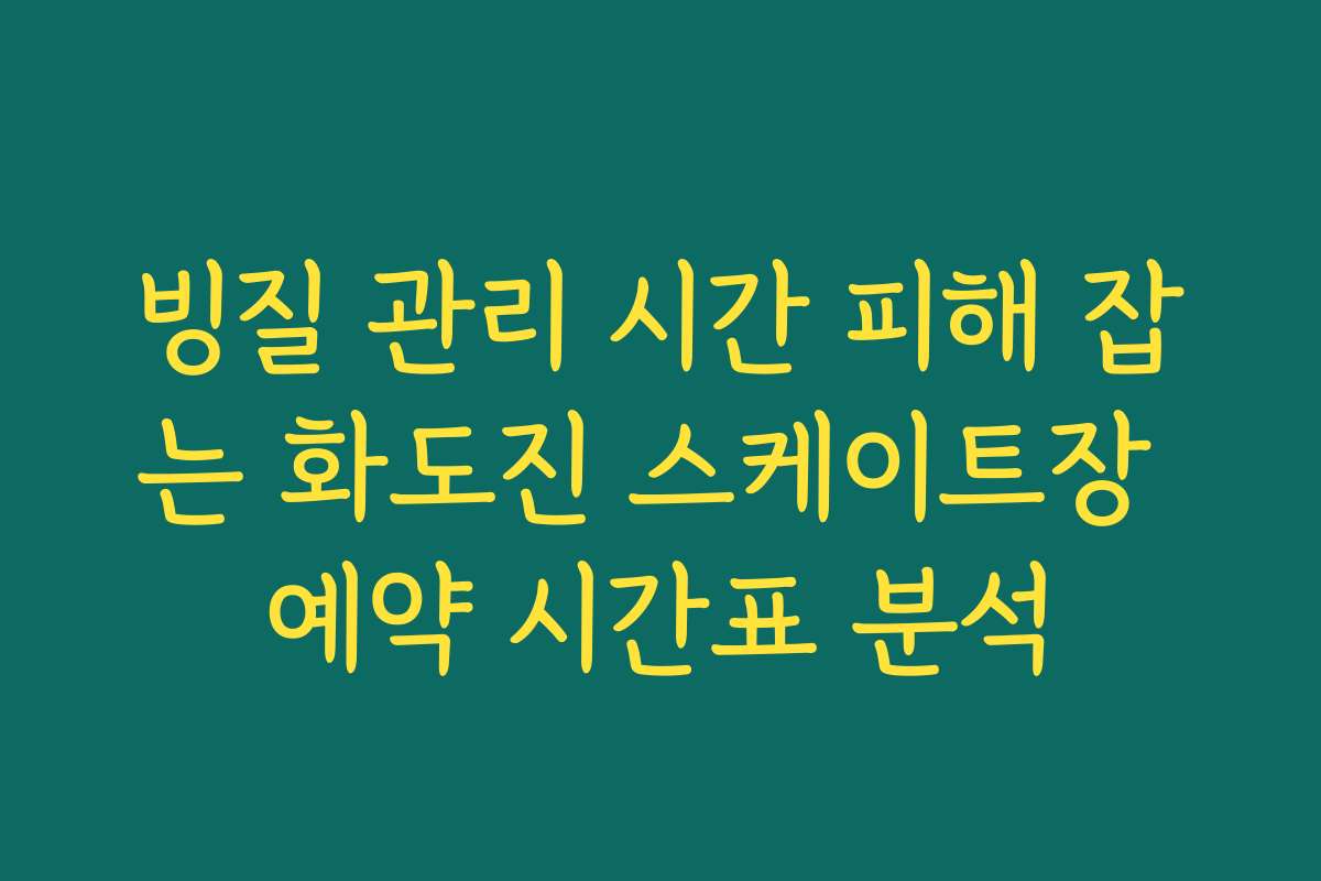 빙질 관리 시간 피해 잡는 화도진 스케이트장 예약 시간표 분석
