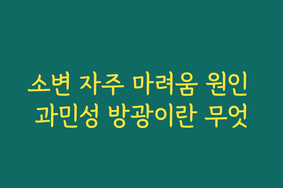 소변 자주 마려움 원인 과민성 방광이란 무엇