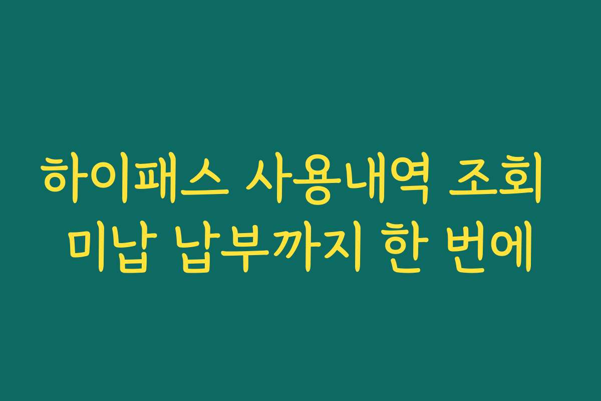 하이패스 사용내역 조회 미납 납부까지 한 번에