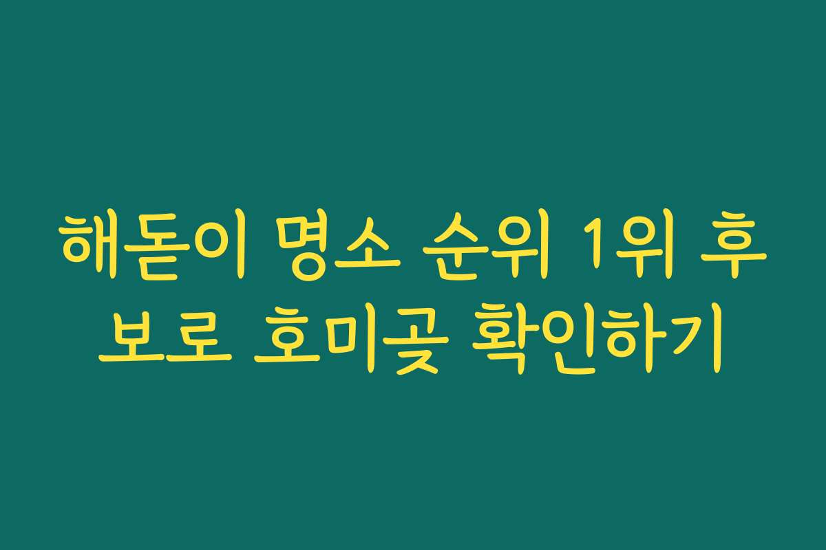 해돋이 명소 순위 1위 후보로 호미곶 확인하기