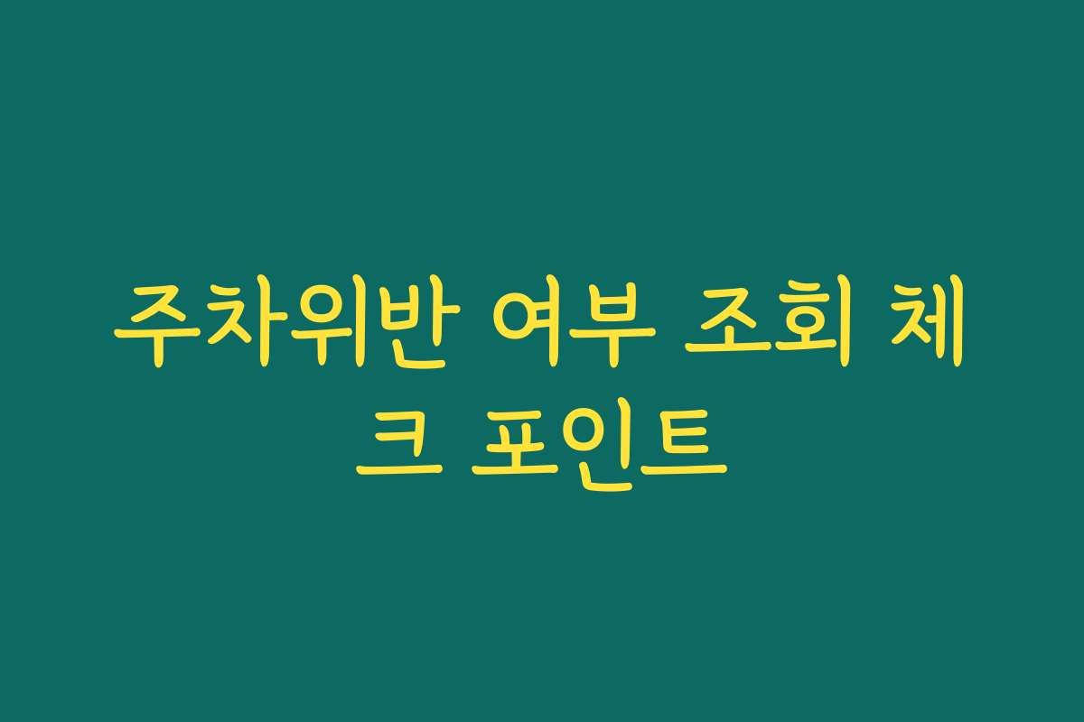 주차위반 여부 조회 체크 포인트