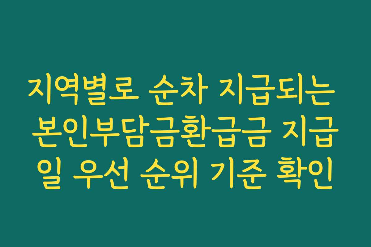 지역별로 순차 지급되는 본인부담금환급금 지급일 우선 순위 기준 확인