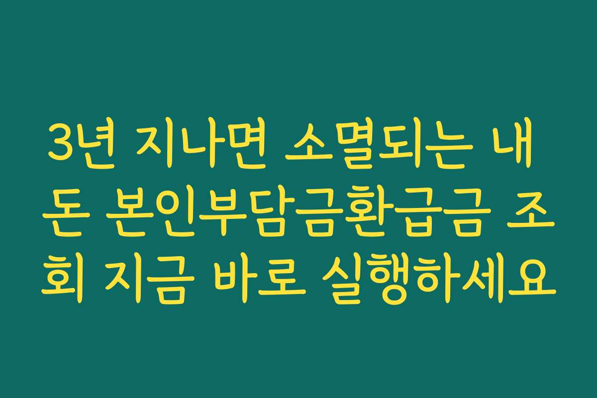 3년 지나면 소멸되는 내 돈 본인부담금환급금 조회 지금 바로 실행하세요