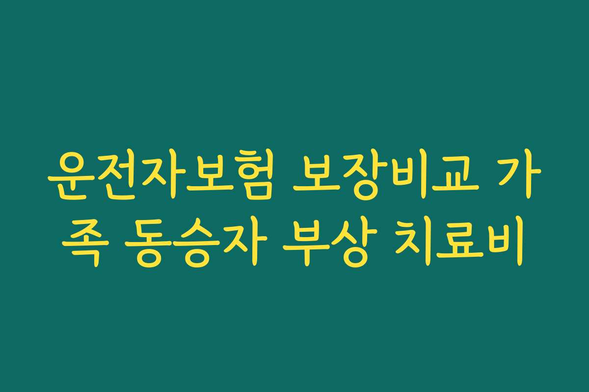 운전자보험 보장비교 가족 동승자 부상 치료비