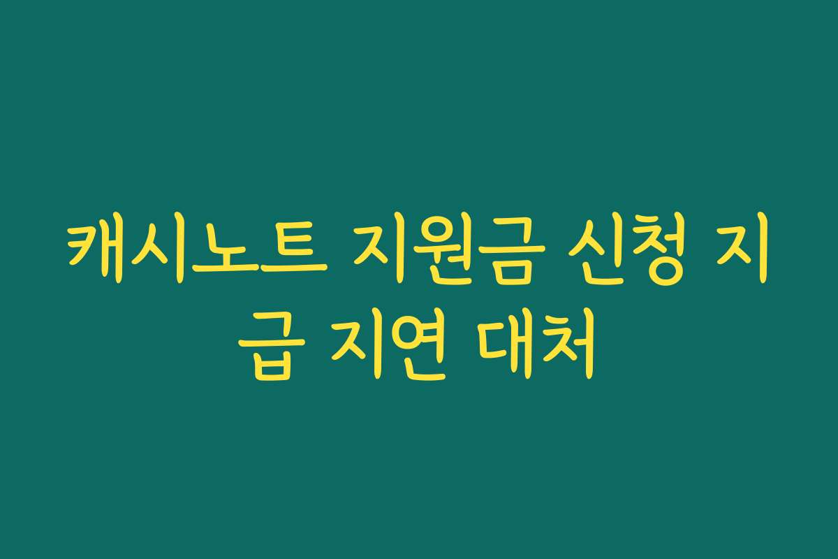 캐시노트 지원금 신청 지급 지연 대처