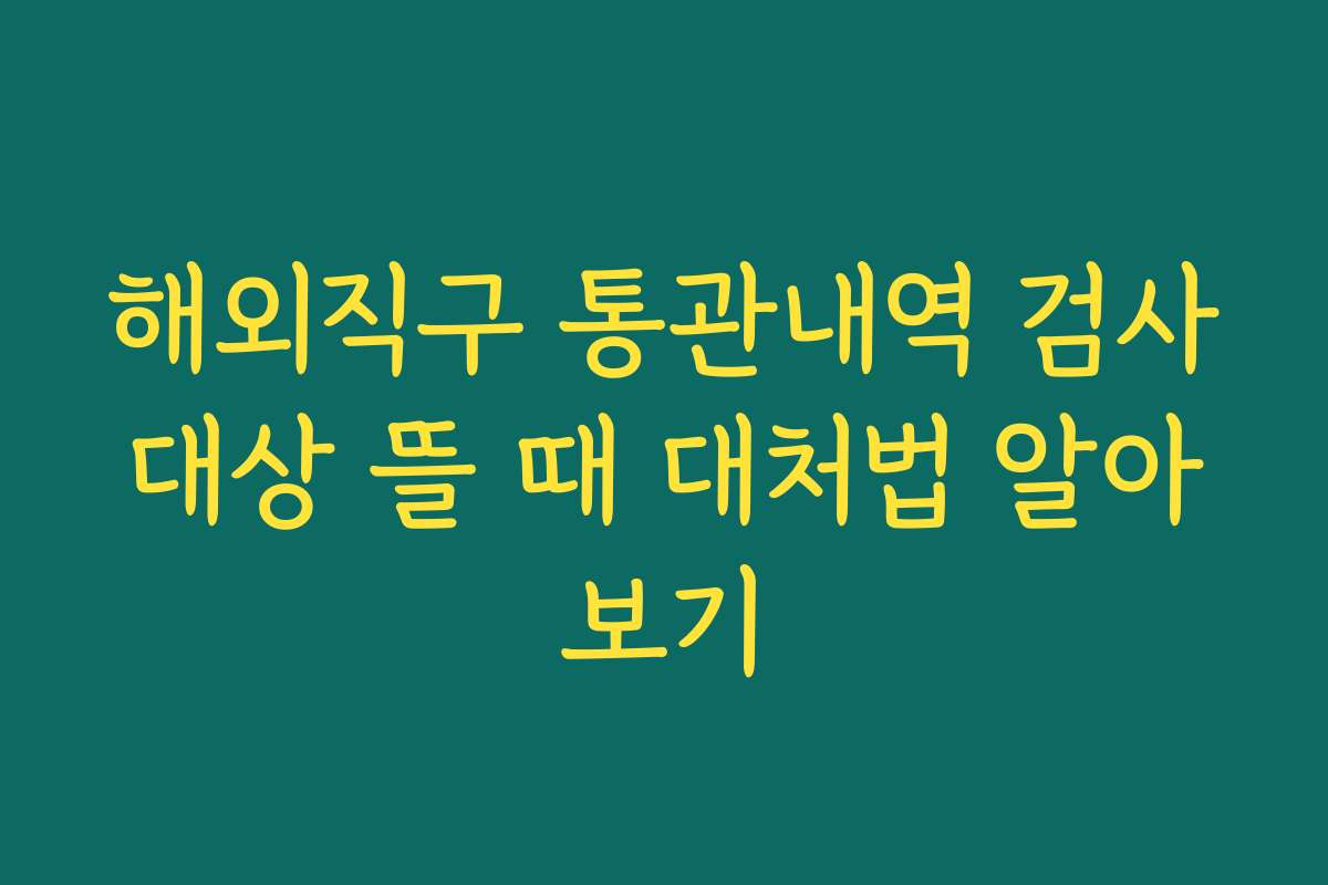 해외직구 통관내역 검사대상 뜰 때 대처법 알아보기