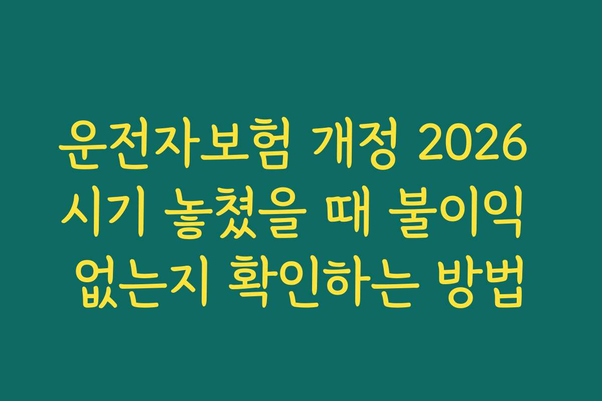 운전자보험 개정 2026 시기 놓쳤을 때 불이익 없는지 확인하는 방법