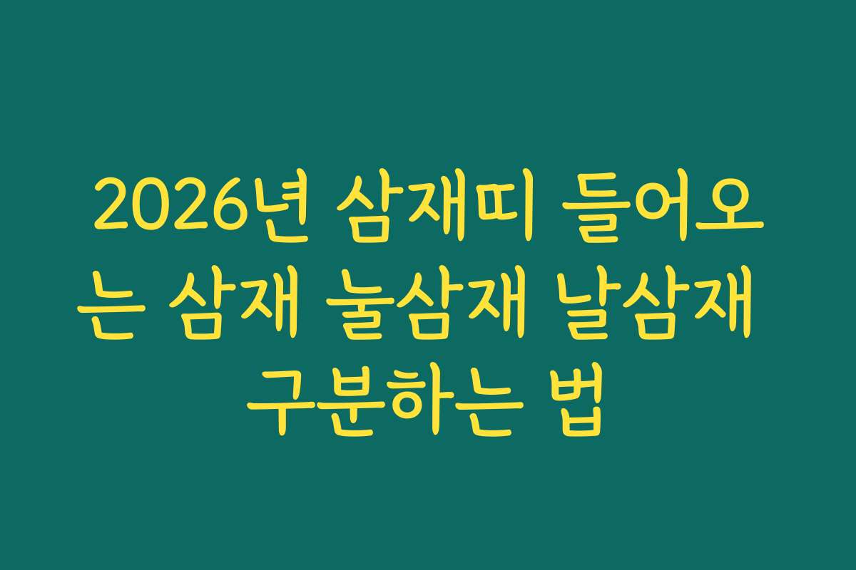 2026년 삼재띠 들어오는 삼재 눌삼재 날삼재 구분하는 법