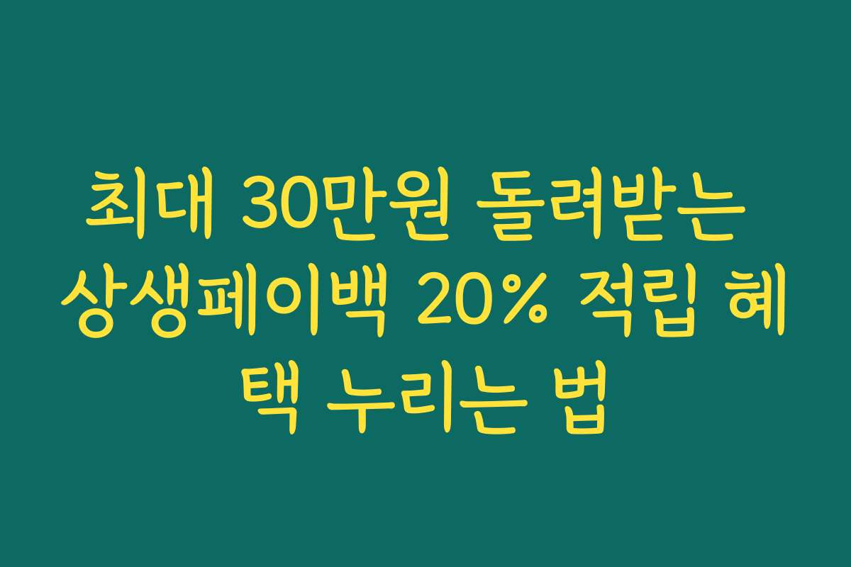 최대 30만원 돌려받는 상생페이백 20% 적립 혜택 누리는 법