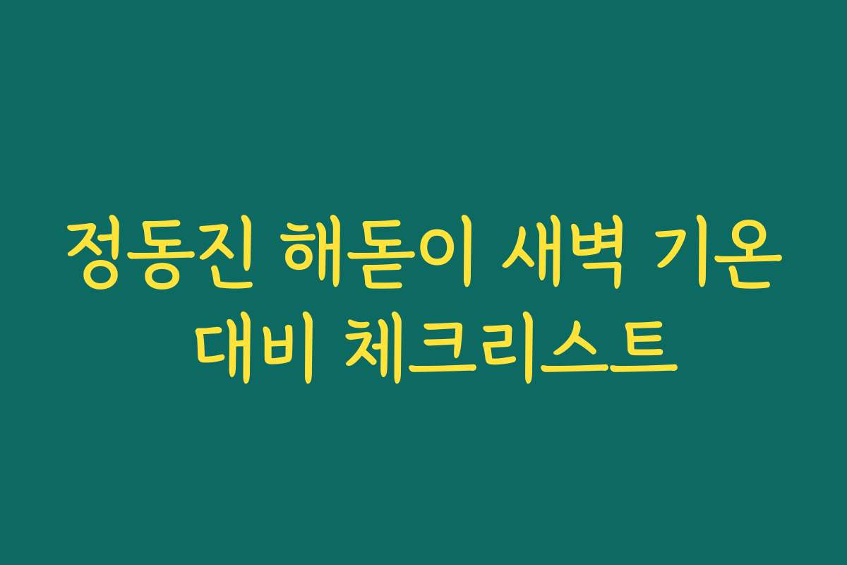 정동진 해돋이 새벽 기온 대비 체크리스트