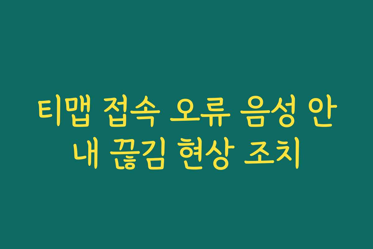 티맵 접속 오류 음성 안내 끊김 현상 조치