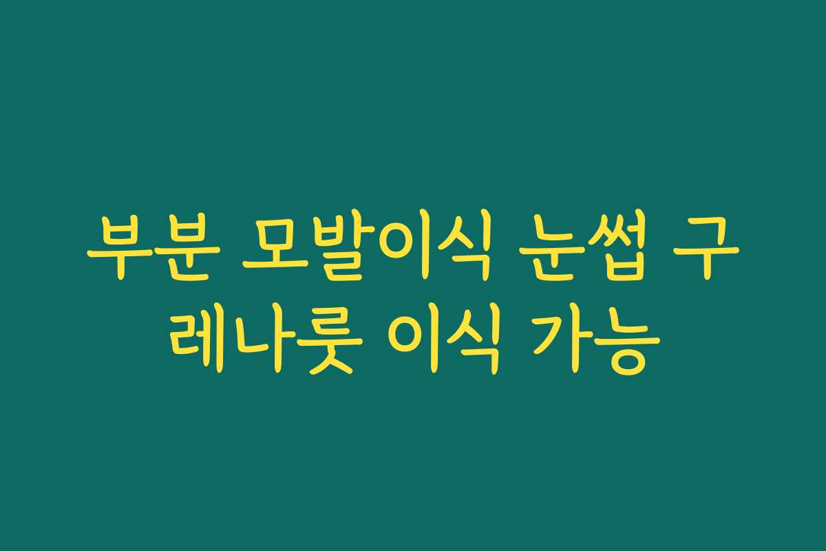부분 모발이식 눈썹 구레나룻 이식 가능