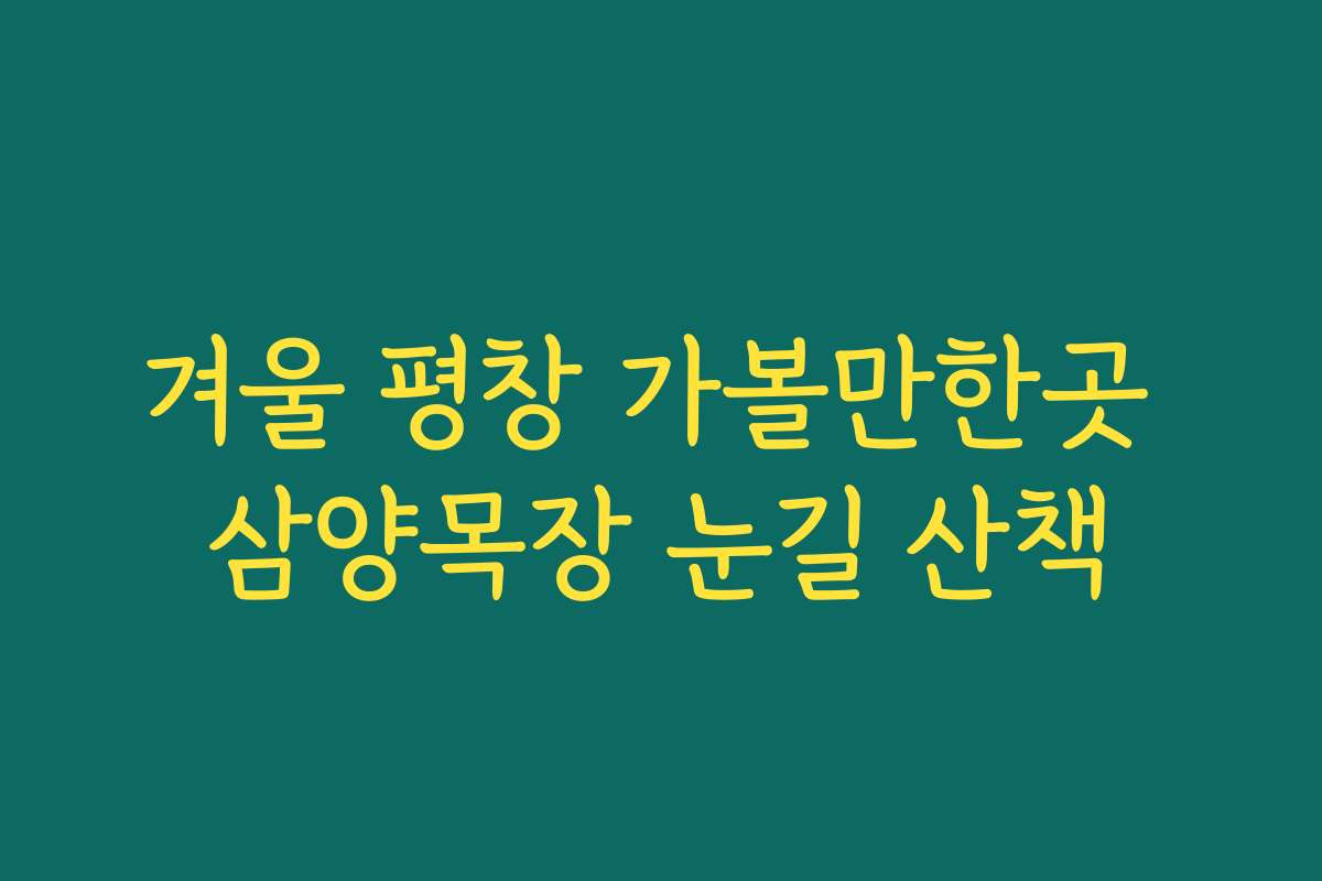 겨울 평창 가볼만한곳 삼양목장 눈길 산책