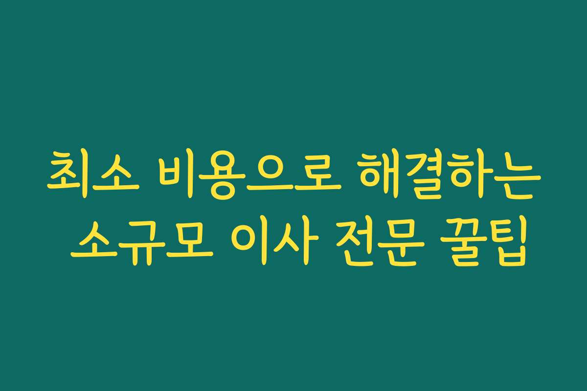 최소 비용으로 해결하는 소규모 이사 전문 꿀팁