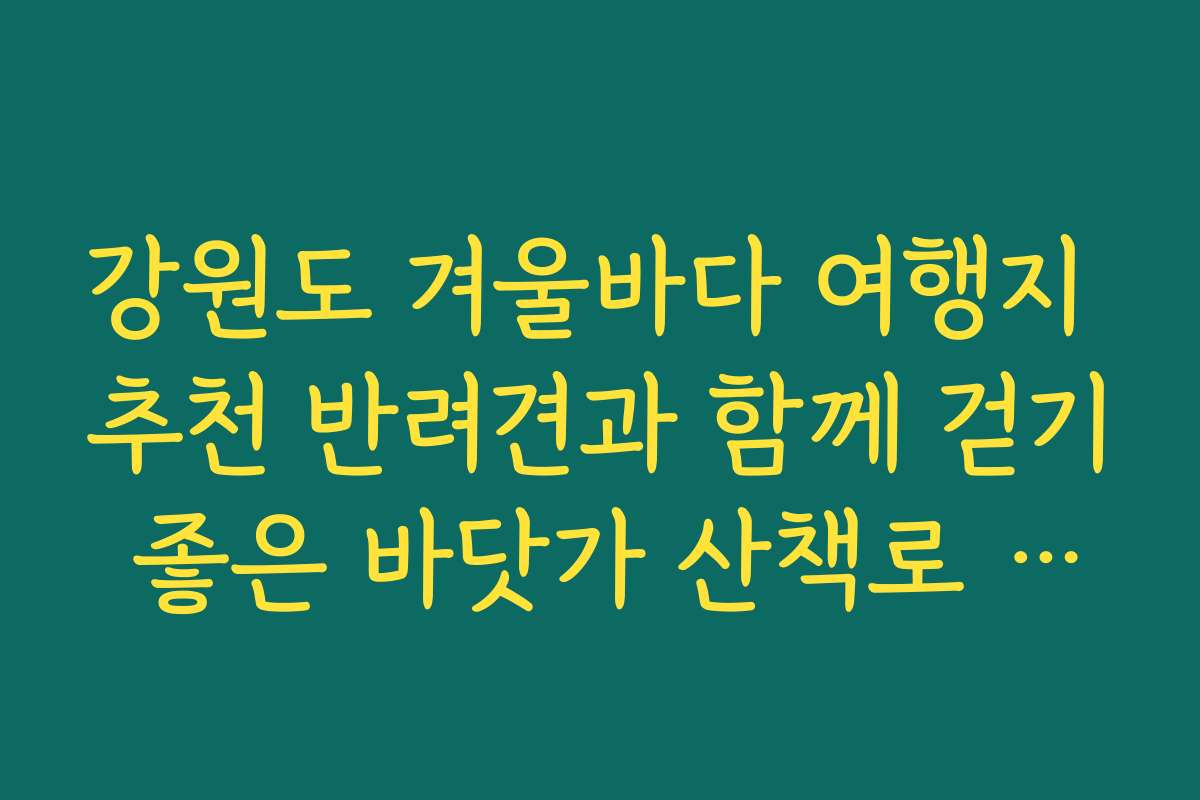 강원도 겨울바다 여행지 추천 반려견과 함께 걷기 좋은 바닷가 산책로 추천