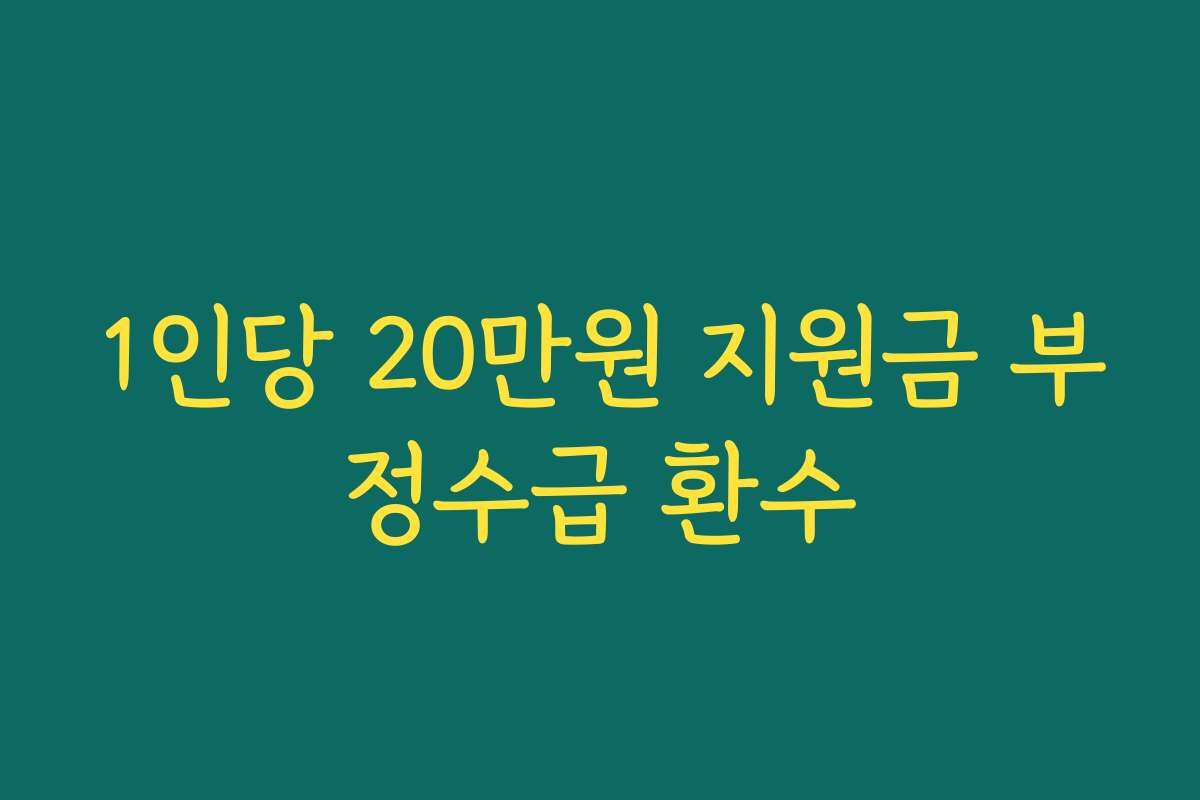 1인당 20만원 지원금 부정수급 환수