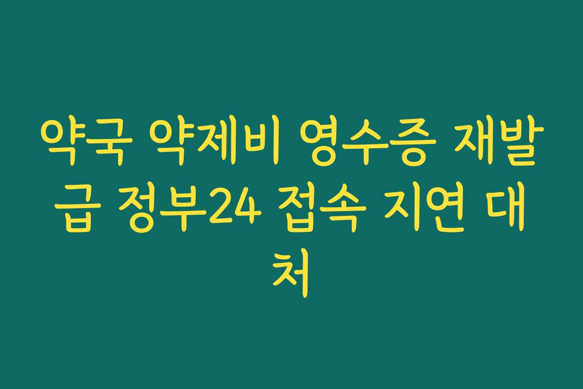 약국 약제비 영수증 재발급 정부24 접속 지연 대처