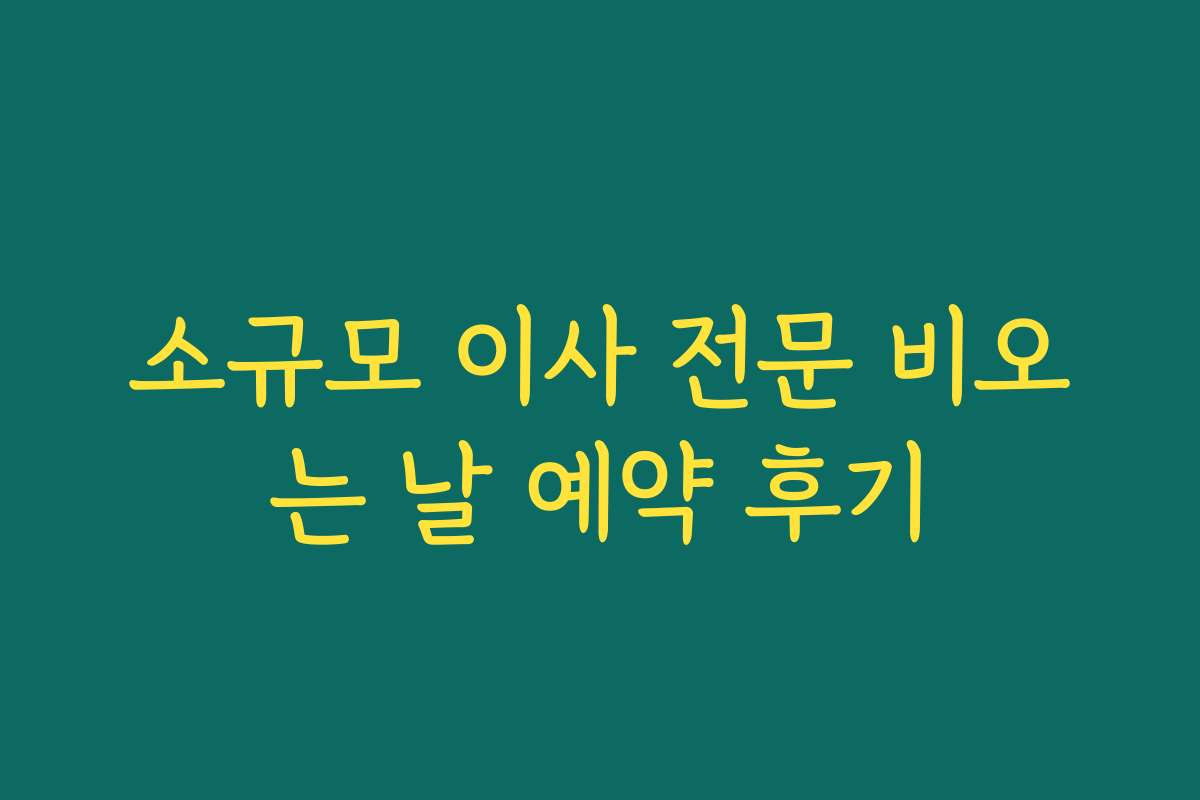 소규모 이사 전문 비오는 날 예약 후기