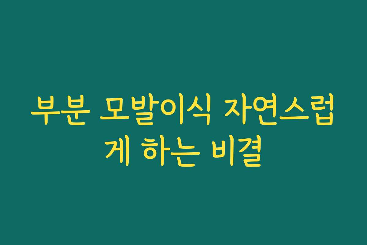 부분 모발이식 자연스럽게 하는 비결