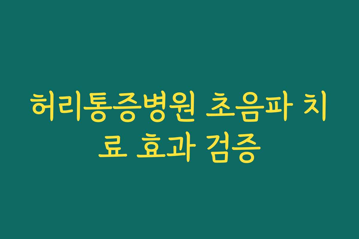 허리통증병원 초음파 치료 효과 검증