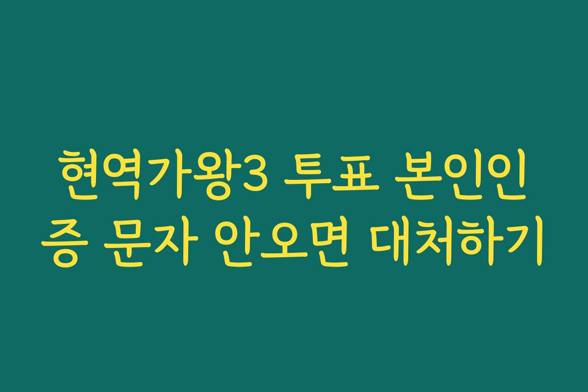 현역가왕3 투표 본인인증 문자 안오면 대처하기
