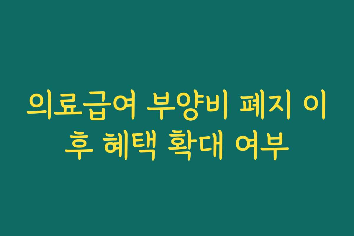 의료급여 부양비 폐지 이후 혜택 확대 여부