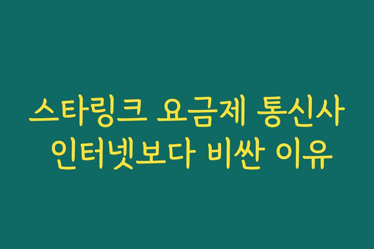 스타링크 요금제 통신사 인터넷보다 비싼 이유