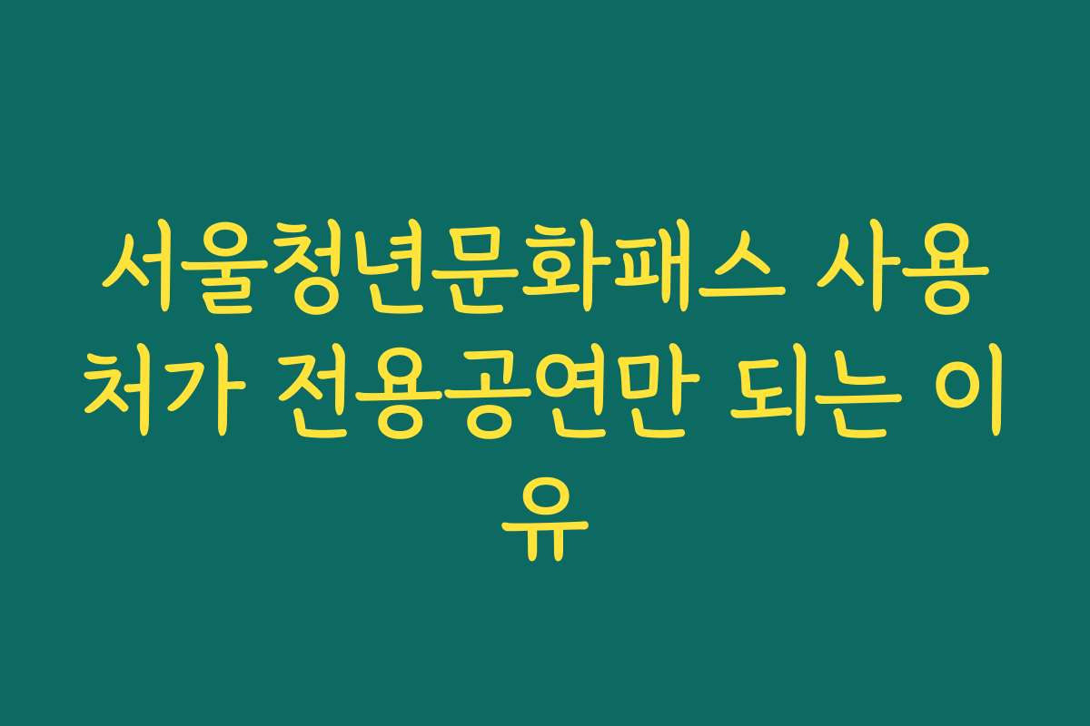 서울청년문화패스 사용처가 전용공연만 되는 이유