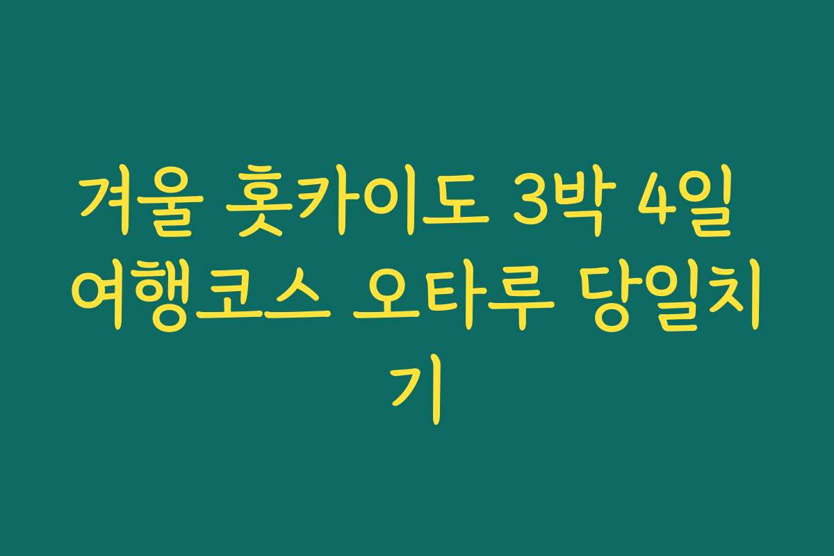 겨울 홋카이도 3박 4일 여행코스 오타루 당일치기