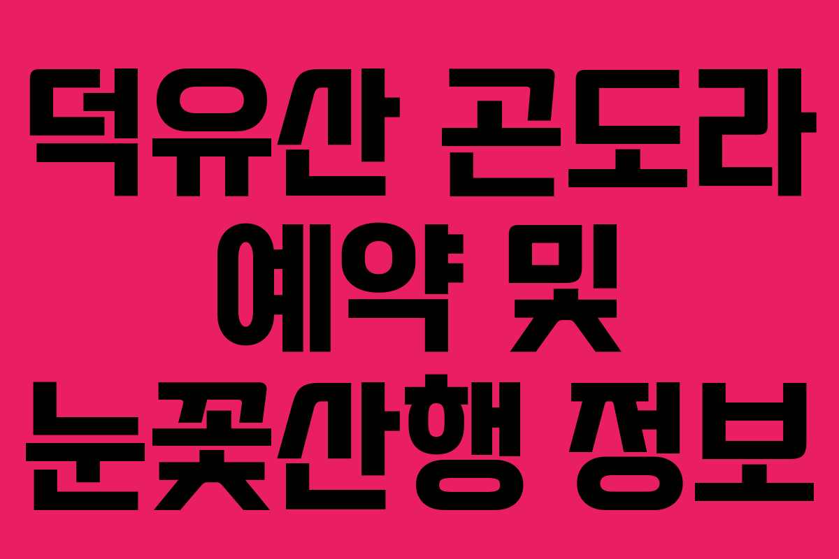 덕유산 곤도라 예약 및 눈꽃산행 정보