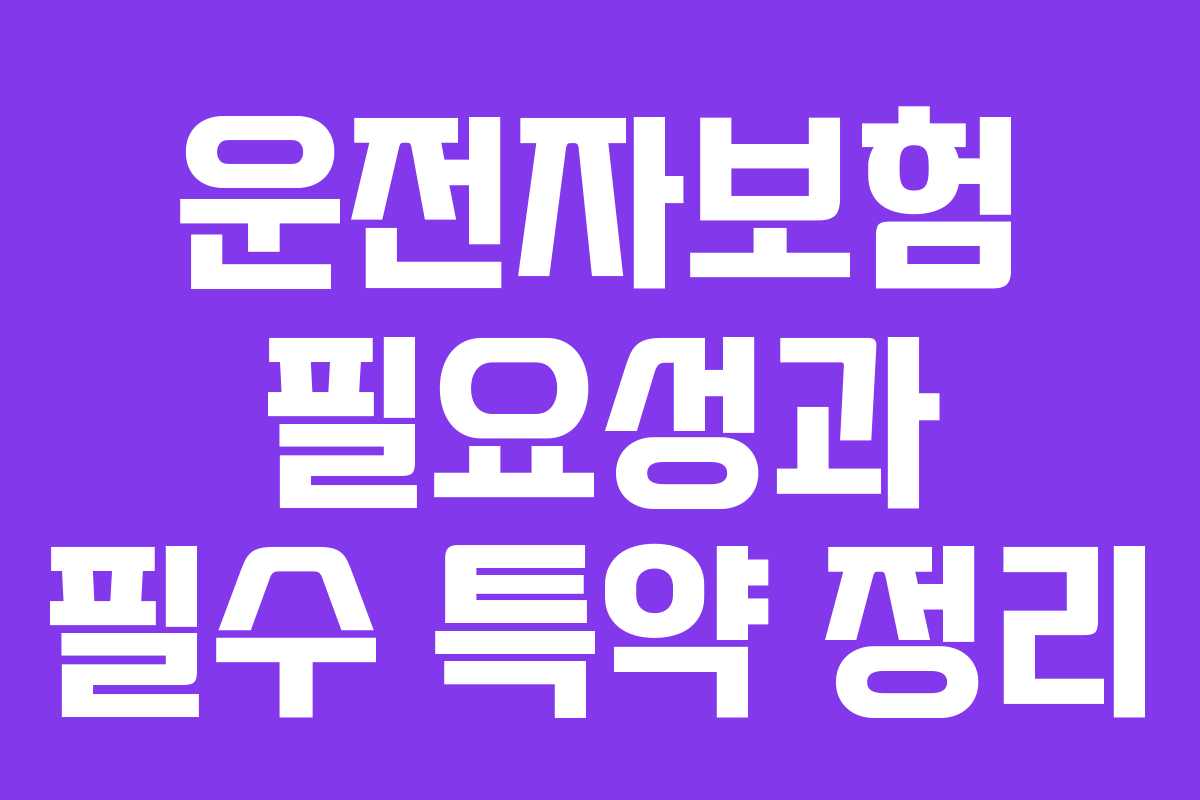 운전자보험 필요성과 필수 특약 정리