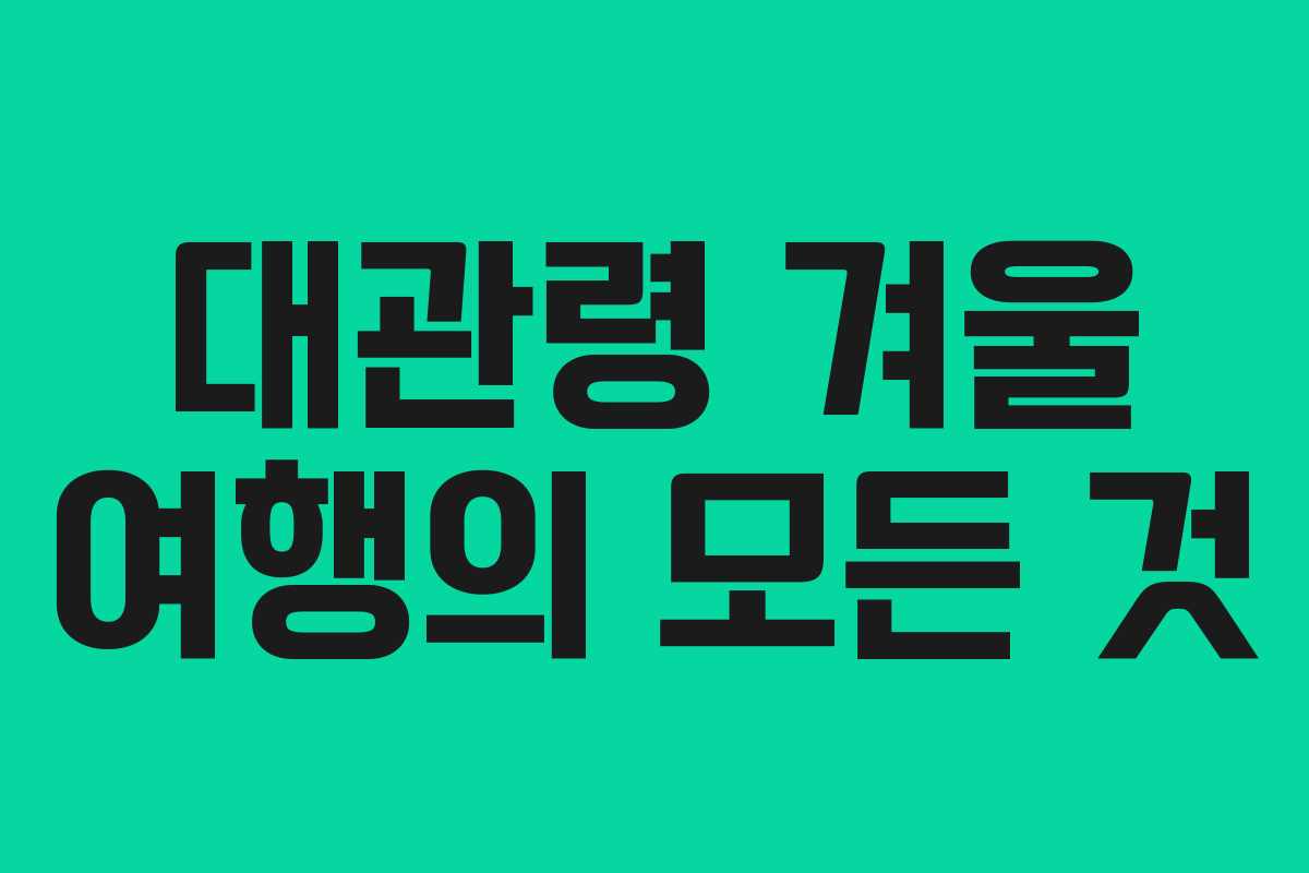 대관령 겨울 여행의 모든 것
