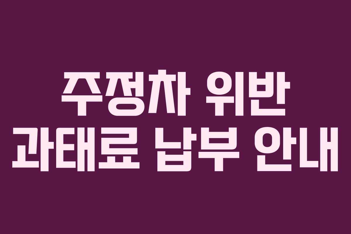 주정차 위반 과태료 납부 안내