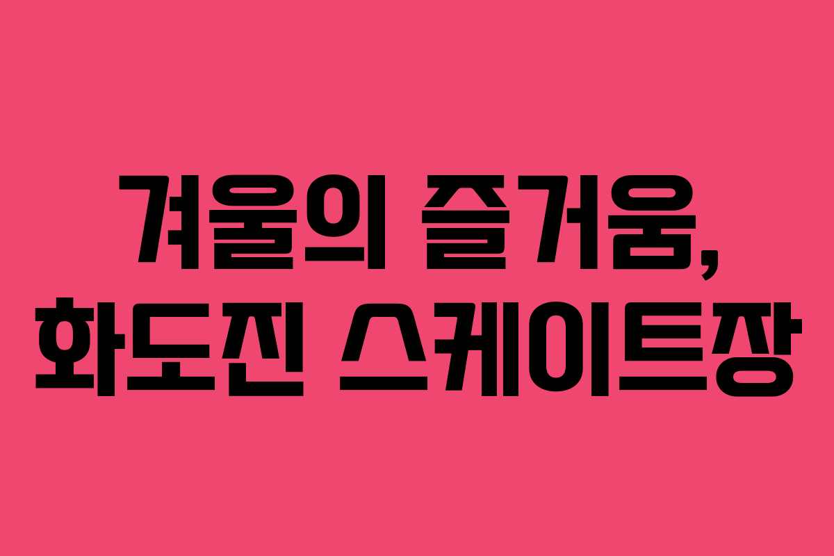 겨울의 즐거움, 화도진 스케이트장