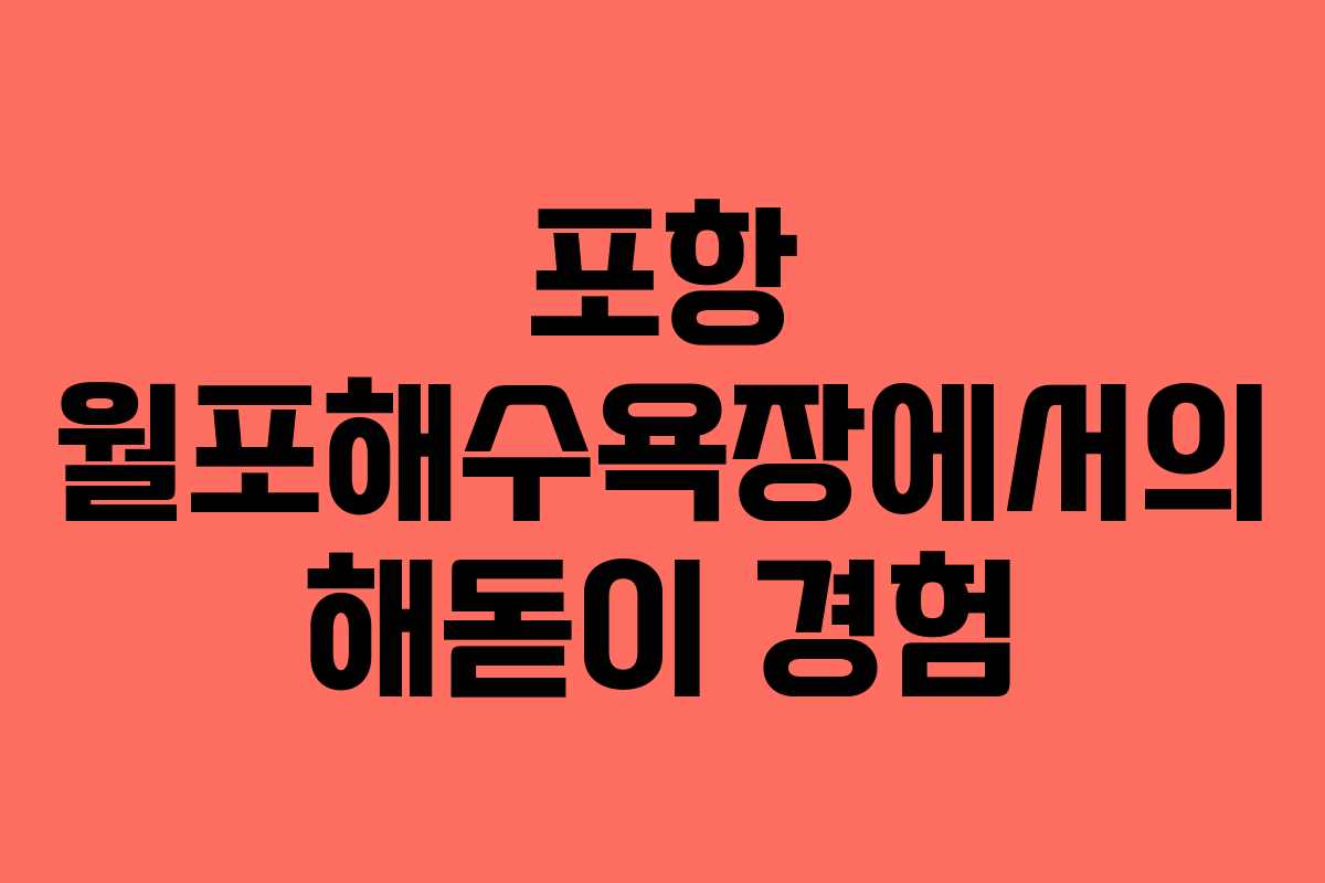 포항 월포해수욕장에서의 해돋이 경험