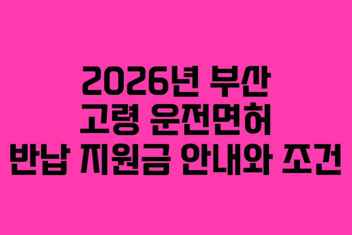 2026년 부산 고령 운전면허 반납 지원금 안내와 조건